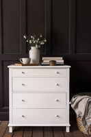 Fusion Mineral Paint Snowdrop