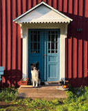 Linoljefärg Ovolinblå