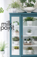 Milk Paint Terrarium - Milk Paint by Fusion