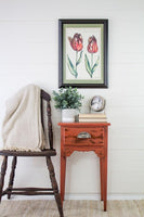 Milk paint Spice- Homestead House